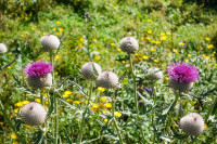 /album/barenschutzklamm-19-august-2025/barenschutzklamm-schusserlbrunn-19-08-2025-12-jpg/